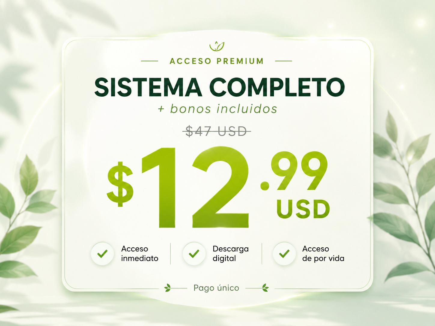 Tarjeta de precio del sistema completo con bonos incluidos